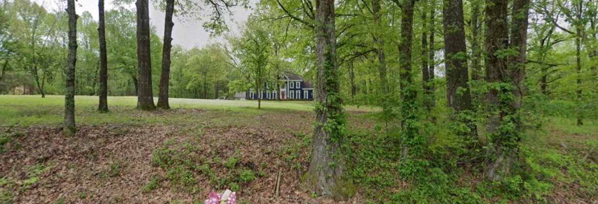 Jen’s Lens Photography