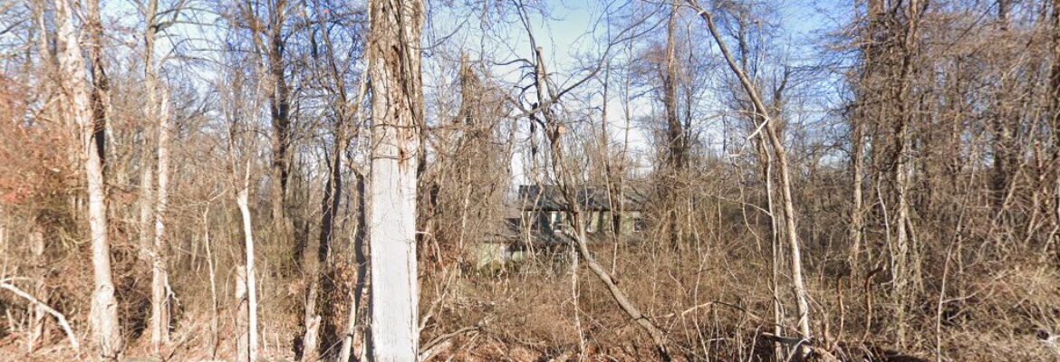 Cameron Green Media llc