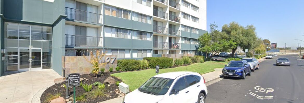 Haejung Hofman Photography