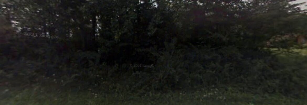 Happy Horse Photography