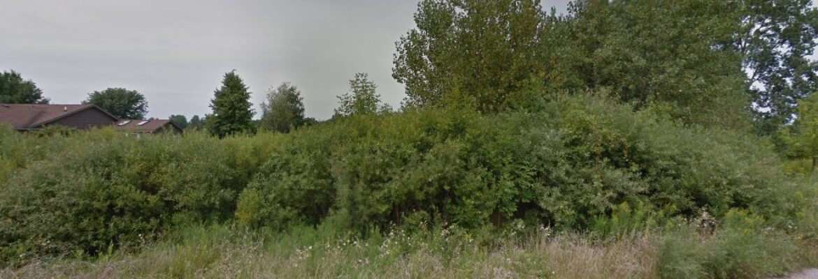 Tabitha Patrick Photography