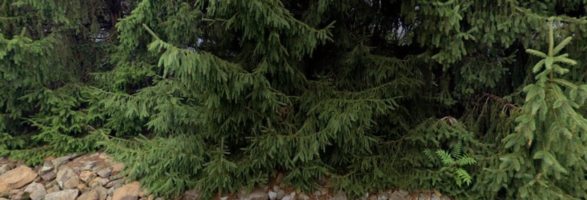 Laughter Guaranteed Photo Booth