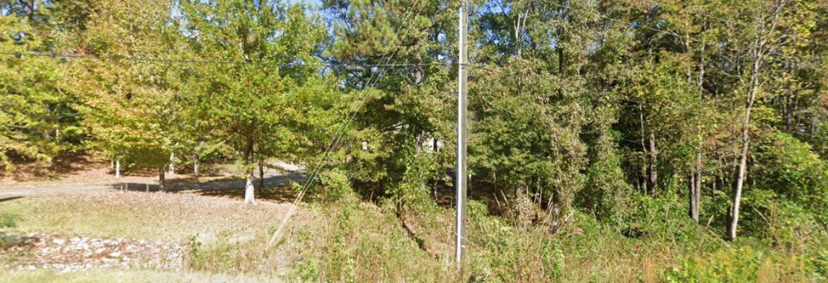 Steve Mason Photography