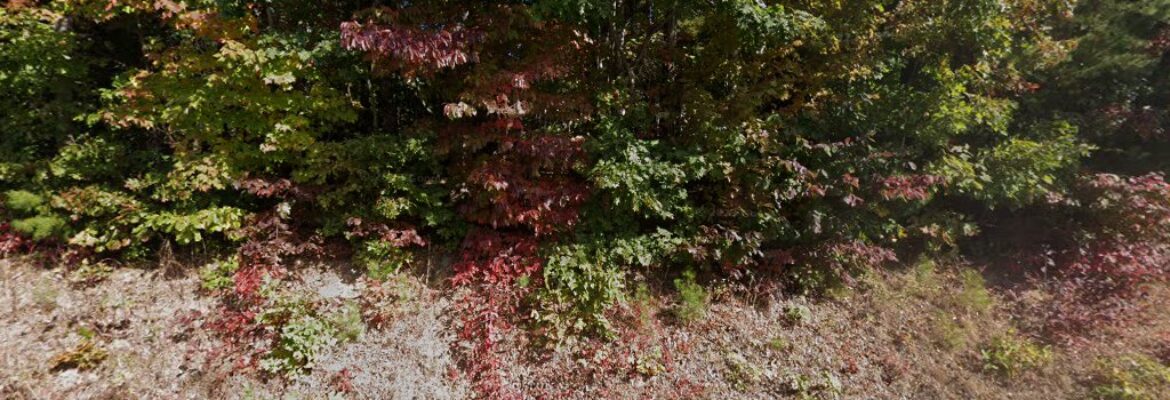 HANG THE MOON PHOTOGRAPHY