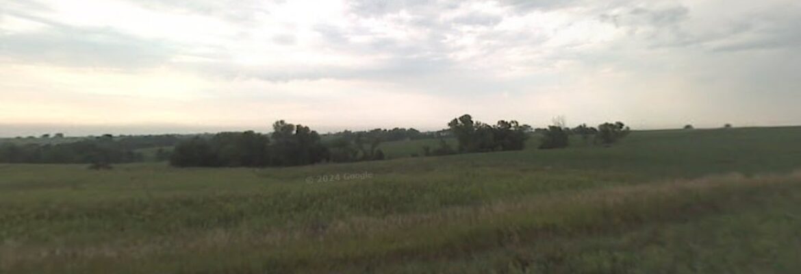 Rachel Murman Photography