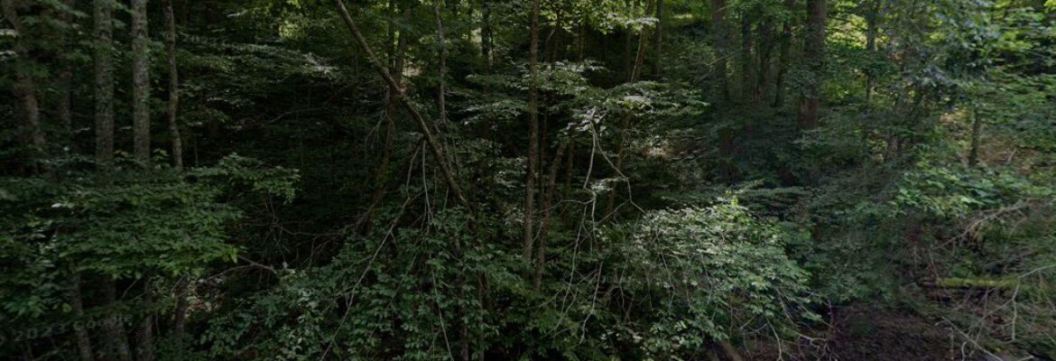 David Hager Photography