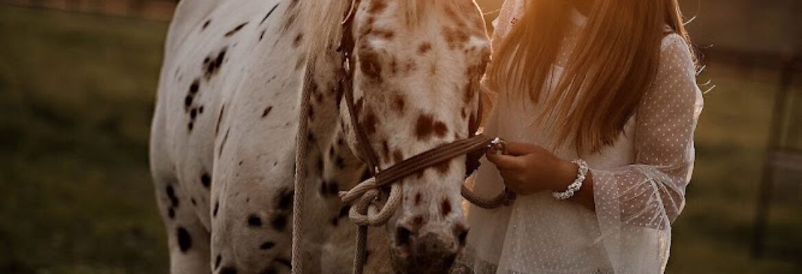 Cassidy Dawn Photography