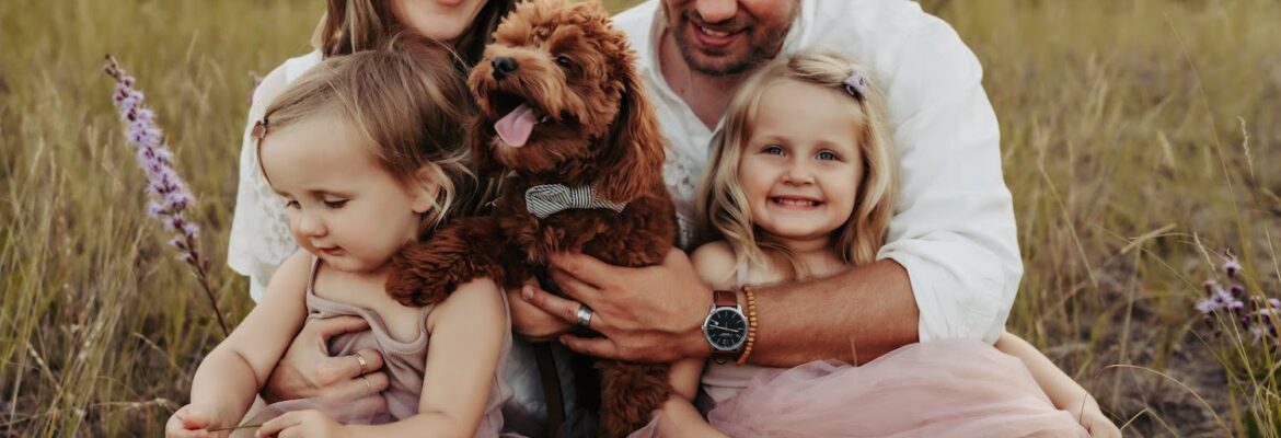 Abby Hoban Photography