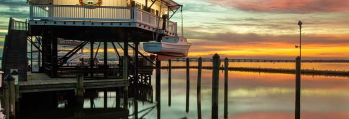 Chasing Shots Photography