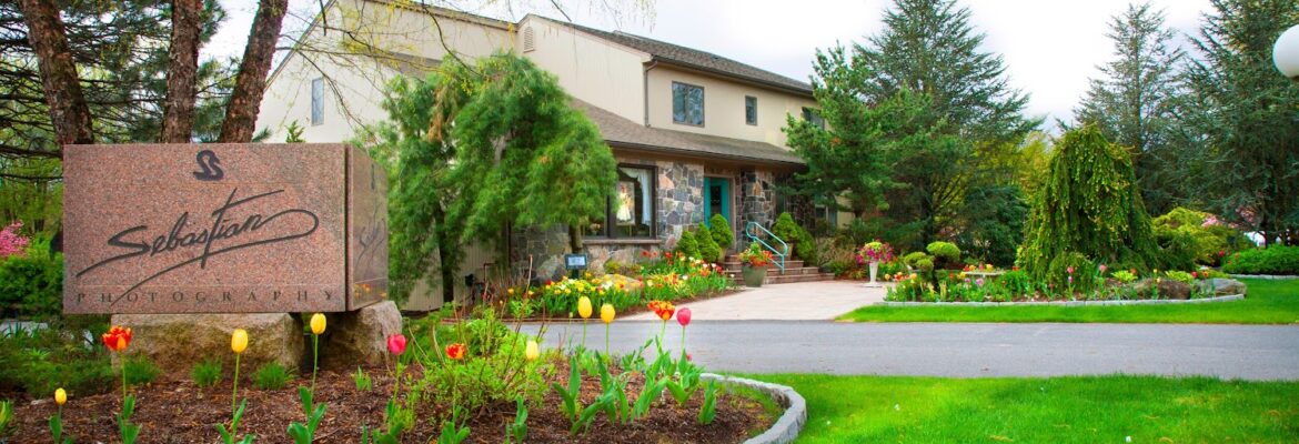 Sebastian Studios Ltd