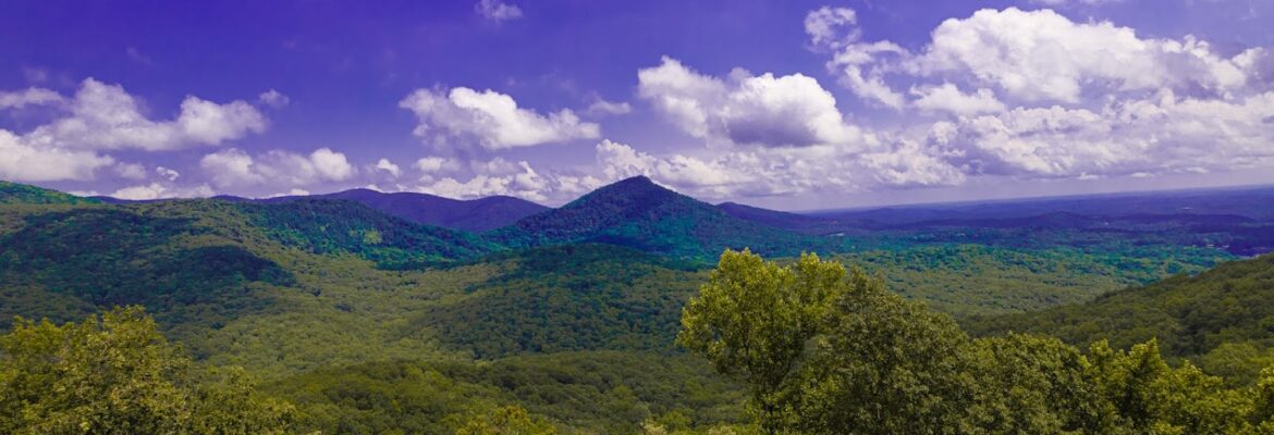 Zac Edwards Photography