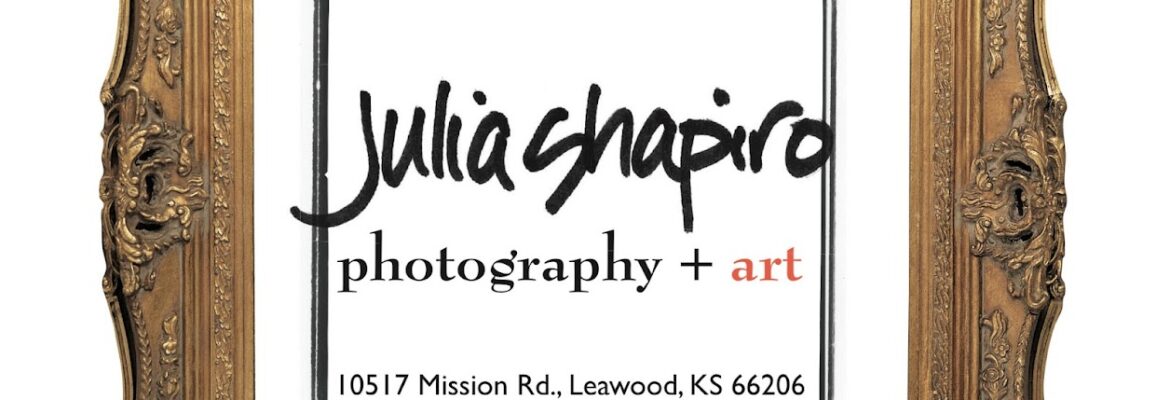 Julia Shapiro Photography + Art