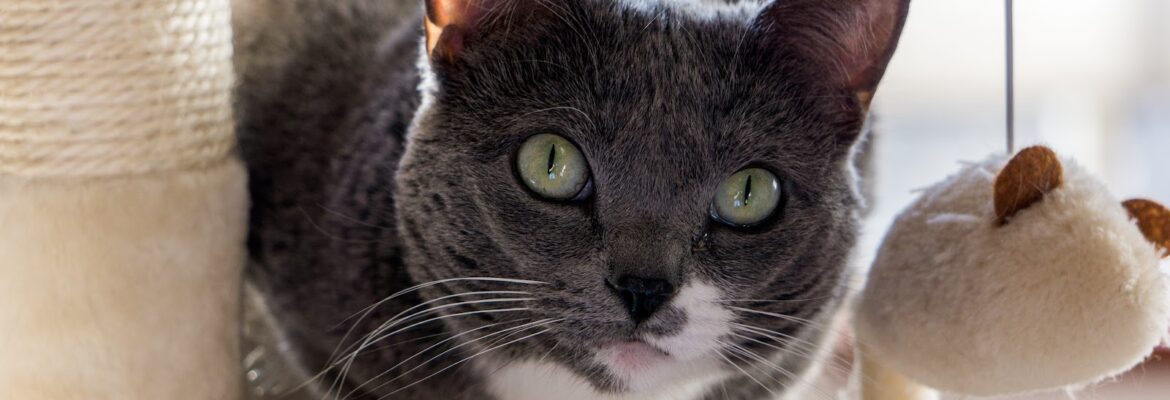 No Negatives Digital Photography