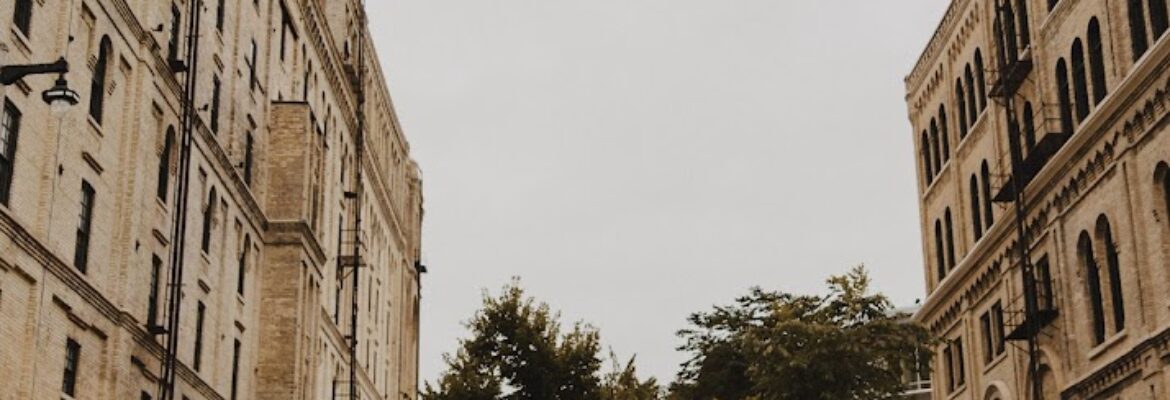 Citrine Pine Photography