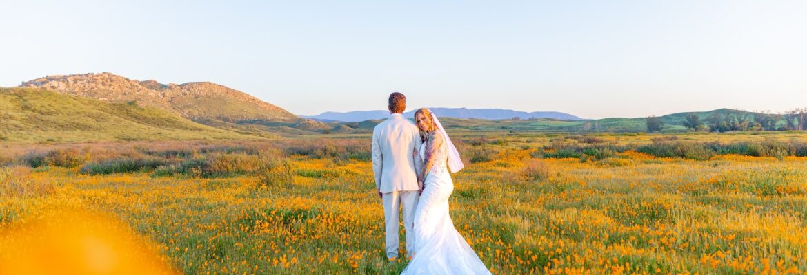 Divya Stumpff Photography