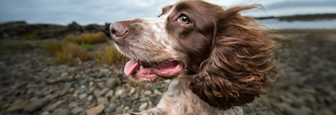 Nicole Begley Photography