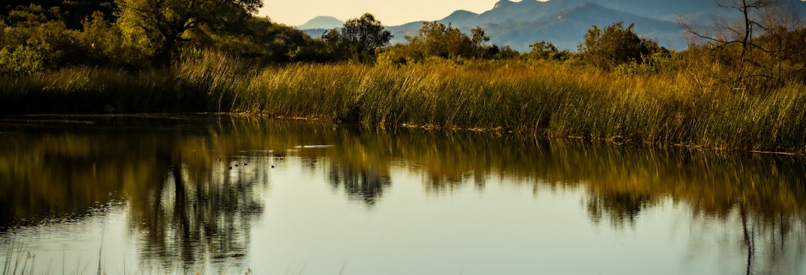 Two Tiny Birds Photography