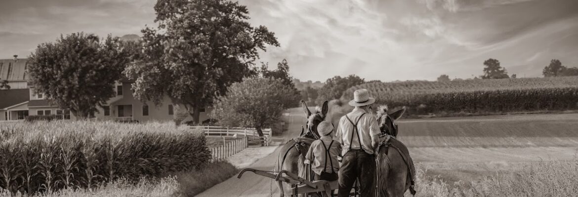 Marcy’s Photo Journey