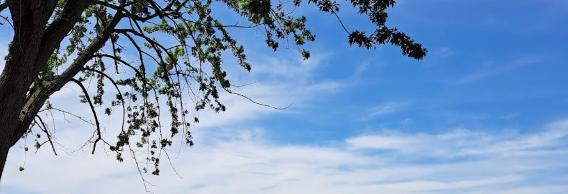 Luttrell Photography