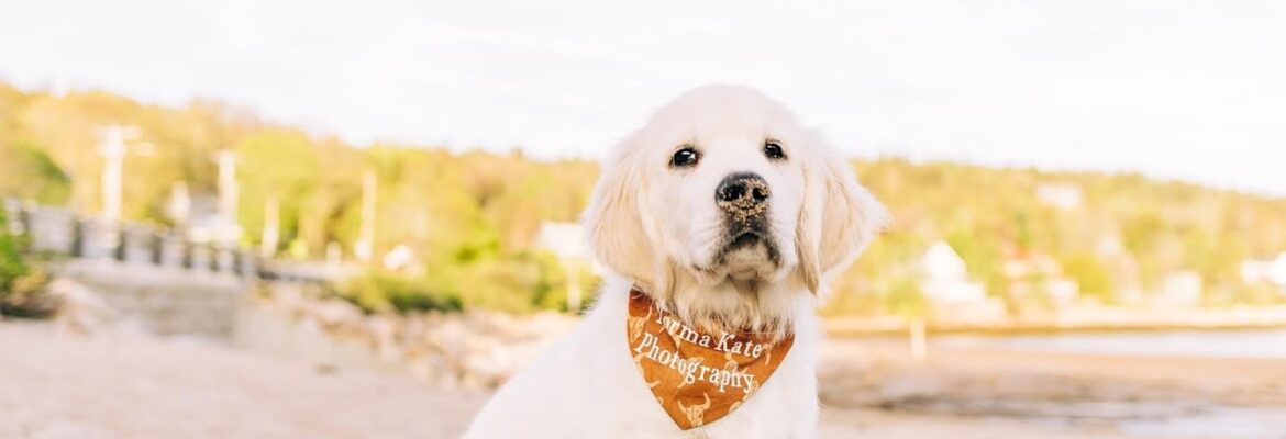 Norma Kate Photography