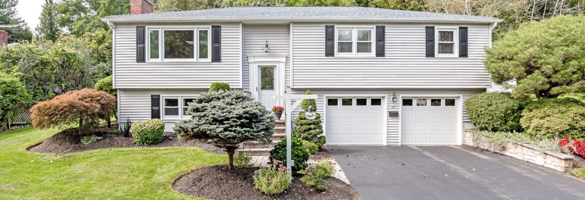 Ten Mangoes Photography