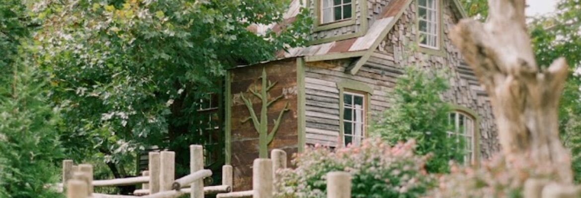 Tara Hodges Photography