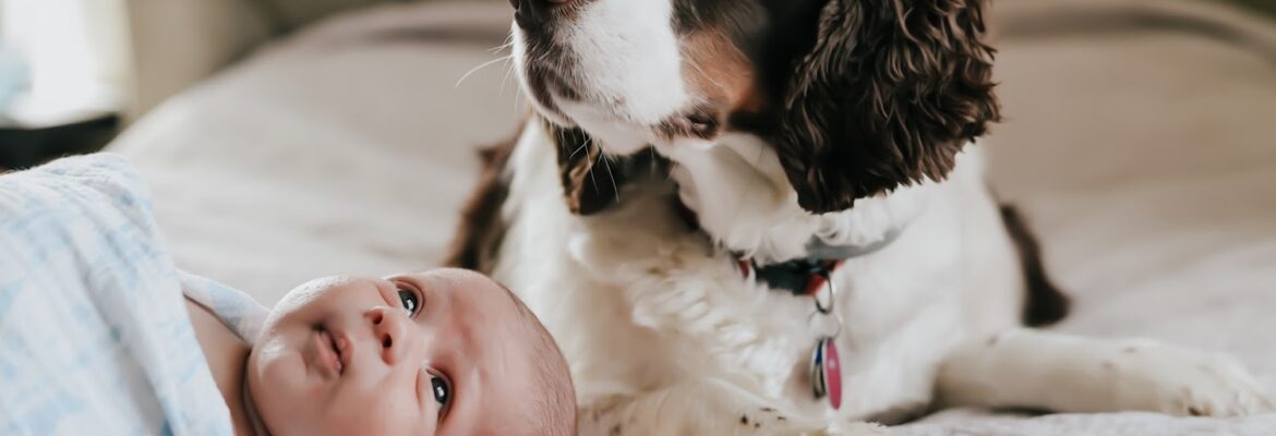 Carmen Angela Photography