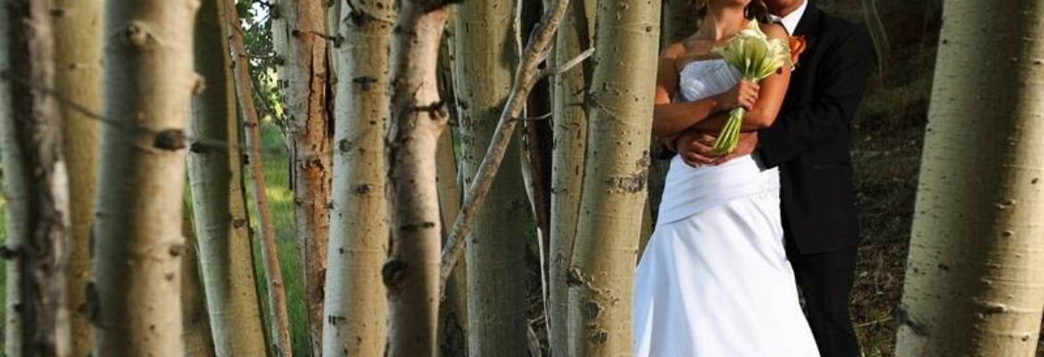 High Sierra Photography