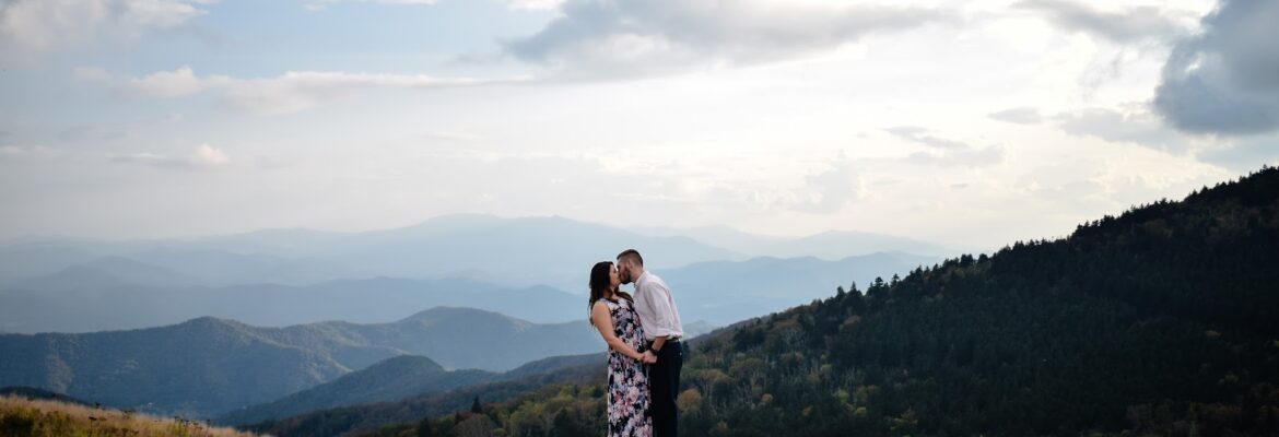 Yellow Tree Photography