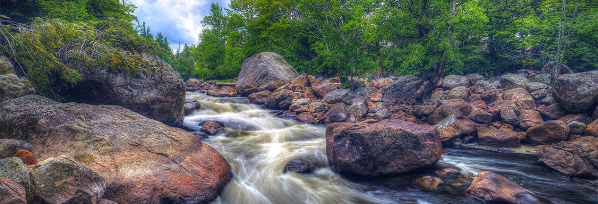 Stephen Kielce Photography & Design