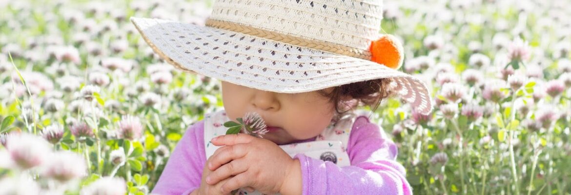 Mi Dahlia Photography