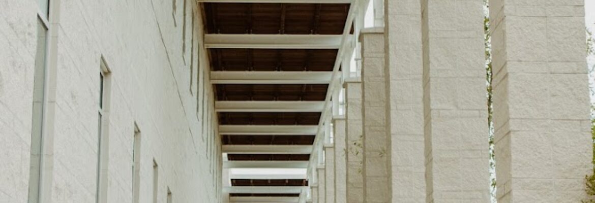 Rachel Lopez Photography