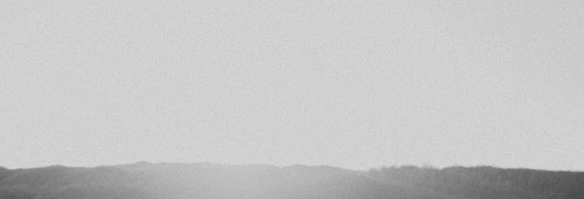 Nel Meerman Photography