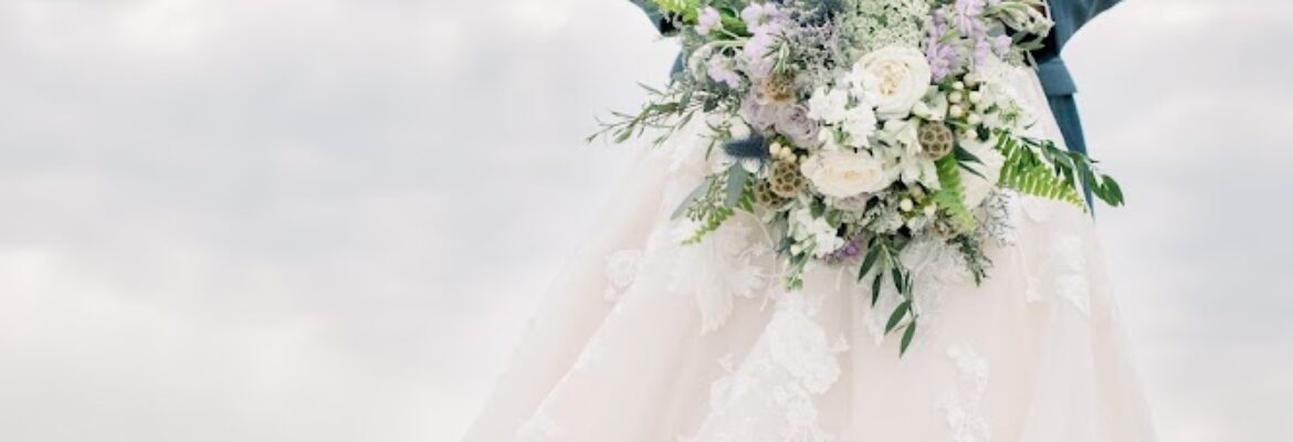 Sarah Nelson Photography