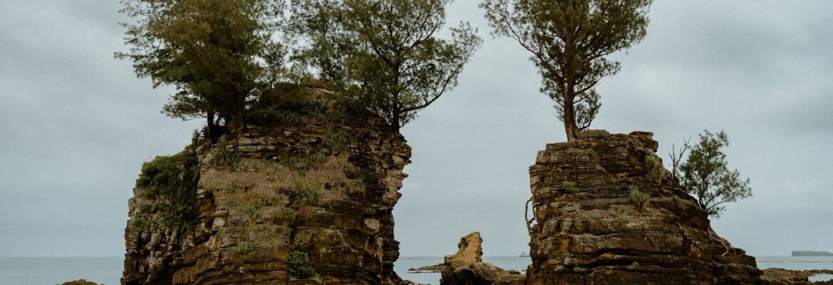 Dominique Mac Photography