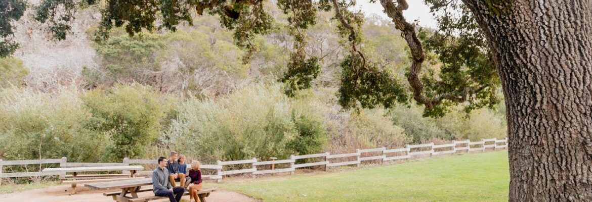 Love All Around Photography & Events