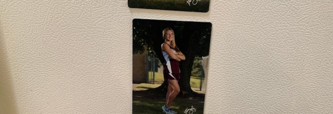 Harrington Photography