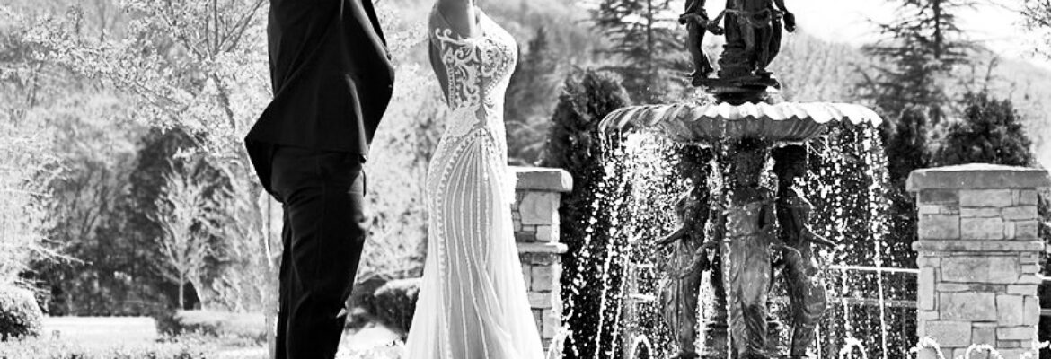 Beverly Reid Photography