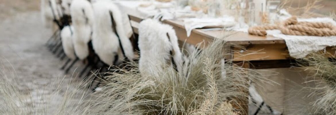 Claire Ferguson Photography