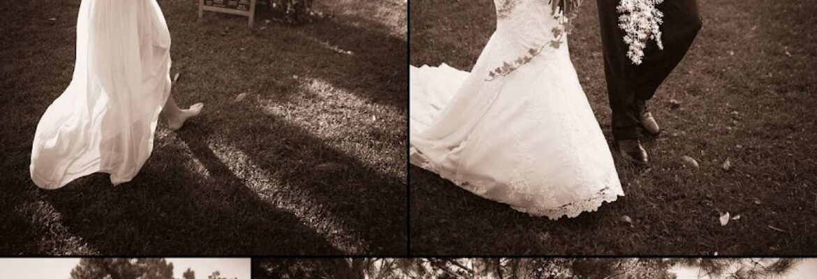 Capture the Journey Photography