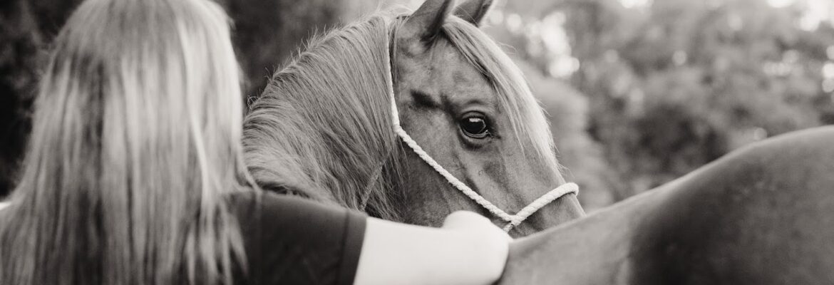 Hannah Brecht Photography LLC