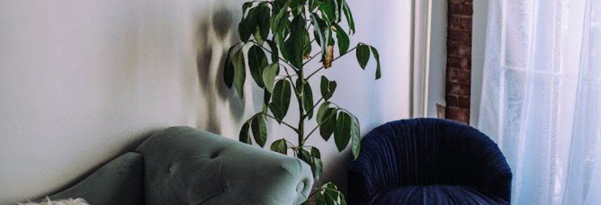 Kimberly Ann Boudoir