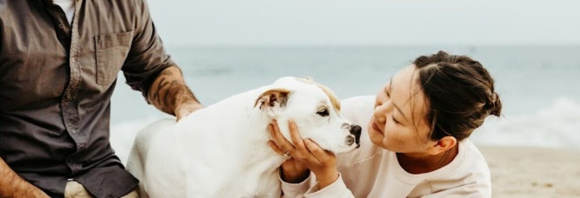 Among the Wildflowers Photography