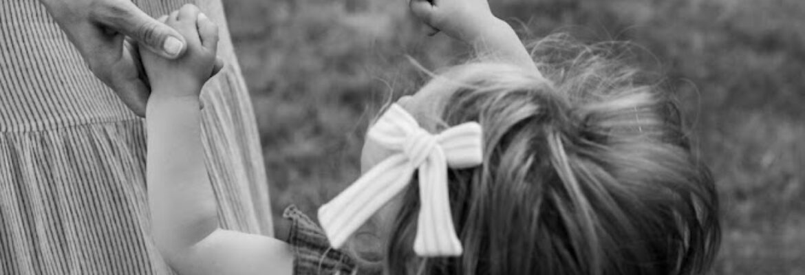 Perennial Photography