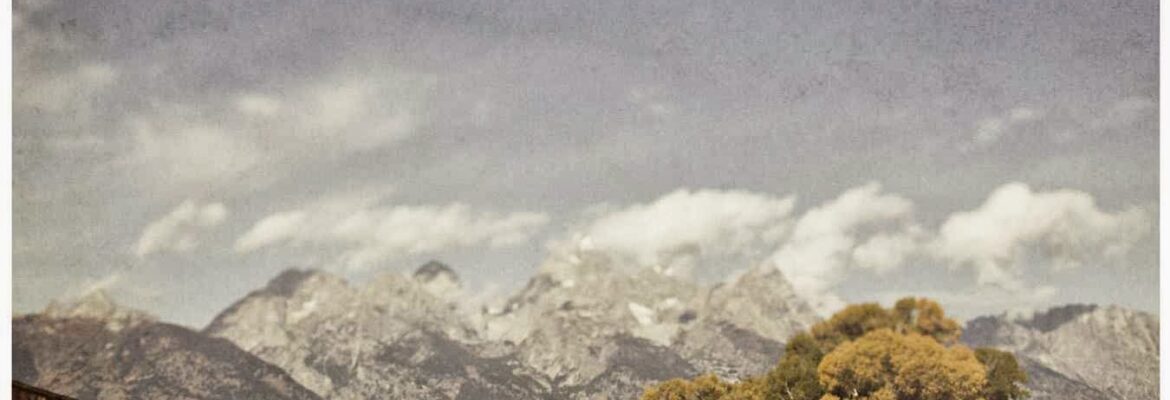 Katy Gray Photography