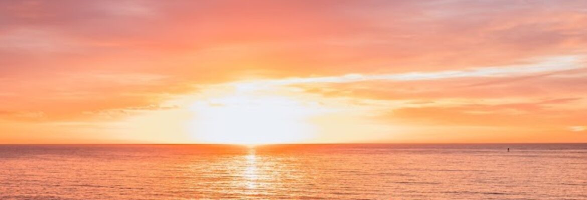 Mainely Jamie Photography