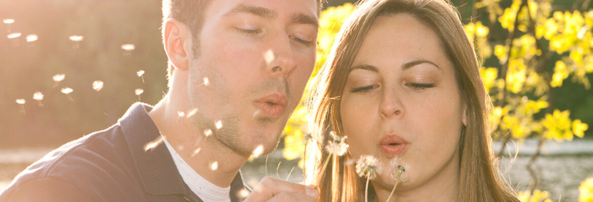 Heidi Shub Photography