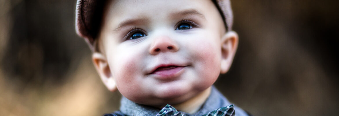 Jennifer L Adamy Photography