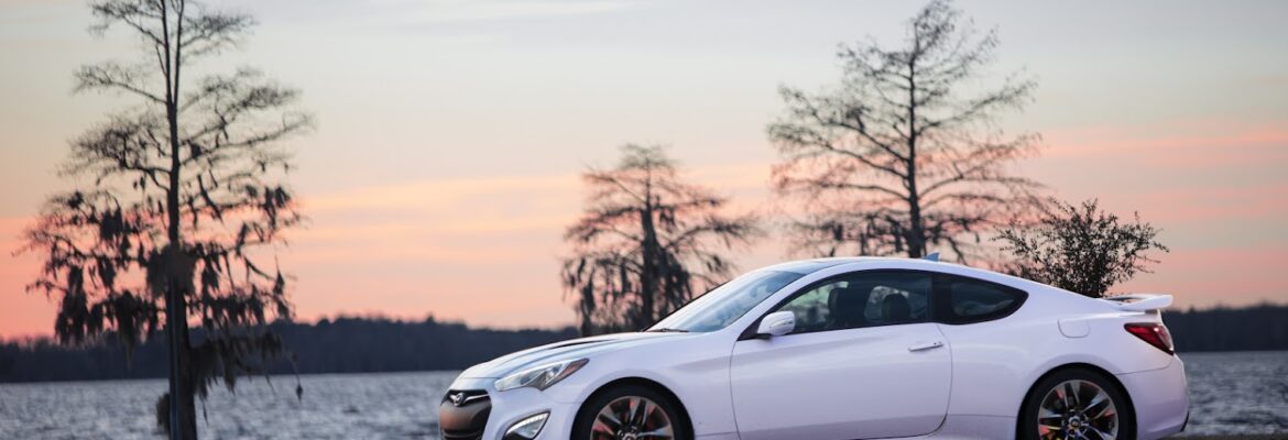 Austin Youngblood Photography