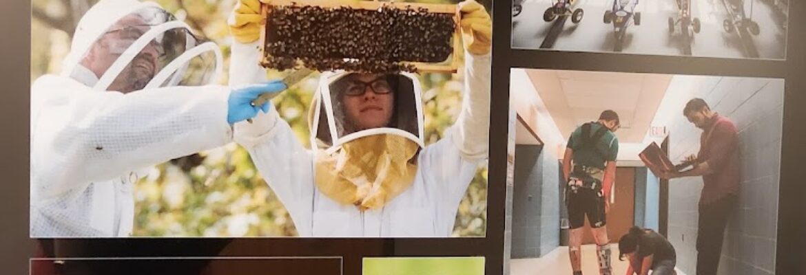 Michigan Photography